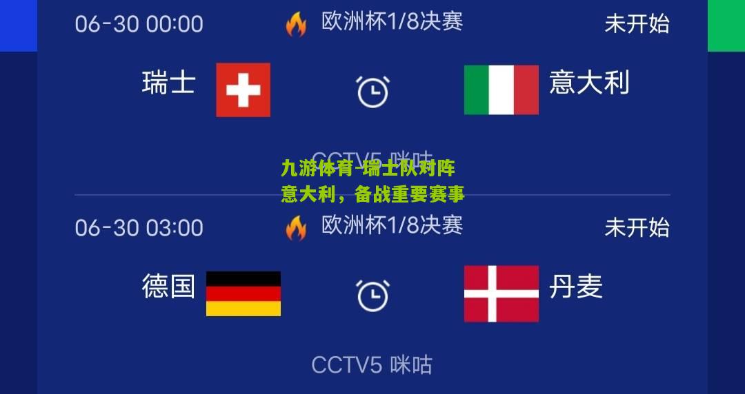 瑞士队对阵意大利，备战重要赛事