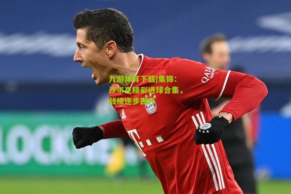集锦：沙尔克精彩进球合集，战绩逐步回升