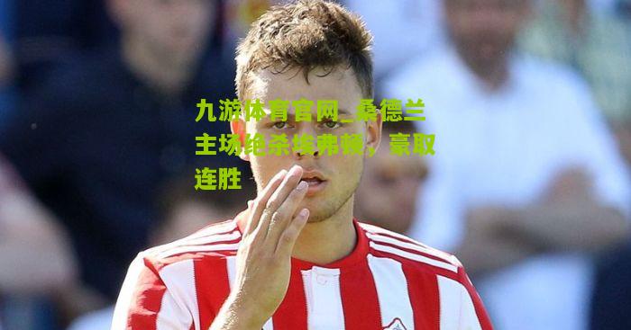 桑德兰主场绝杀埃弗顿，豪取连胜